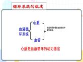 3.2 物质运输的器官（课件+教案+练习+学案）