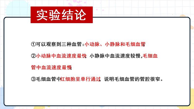 3.2 物质运输的器官（课件+教案+练习+学案）08