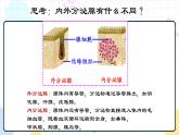5.1 人体激素调节（课件+教案+练习+学案）