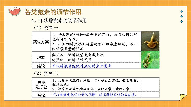 5.1 人体激素调节（课件+教学设计+练习+学案）08