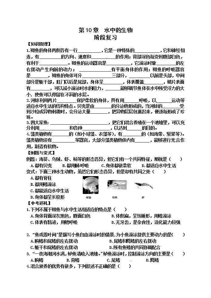 苏科版七年级生物下册学案：第10章阶段复习第1页