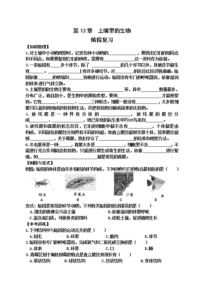 苏科版七年级生物下册学案：第13章阶段复习01