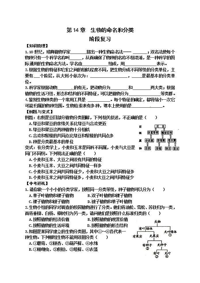 苏科版七年级生物下册学案：第14章阶段复习01
