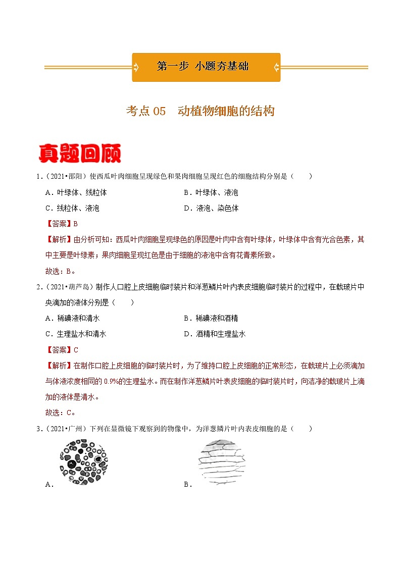 考点05 动植物细胞的结构- 《三步冲刺中考 生物》之第1步小题夯基础第1页