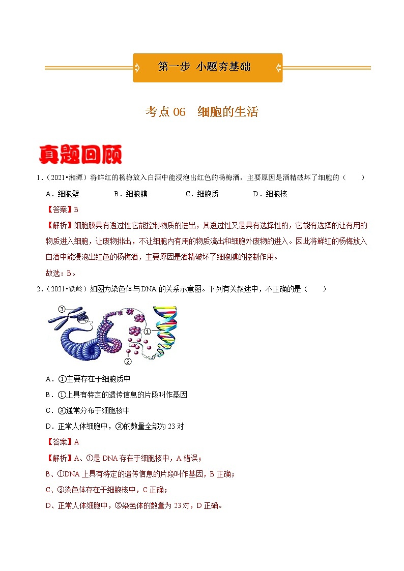 考点06 细胞的生活- 《三步冲刺中考 生物》之第1步小题夯基础第1页