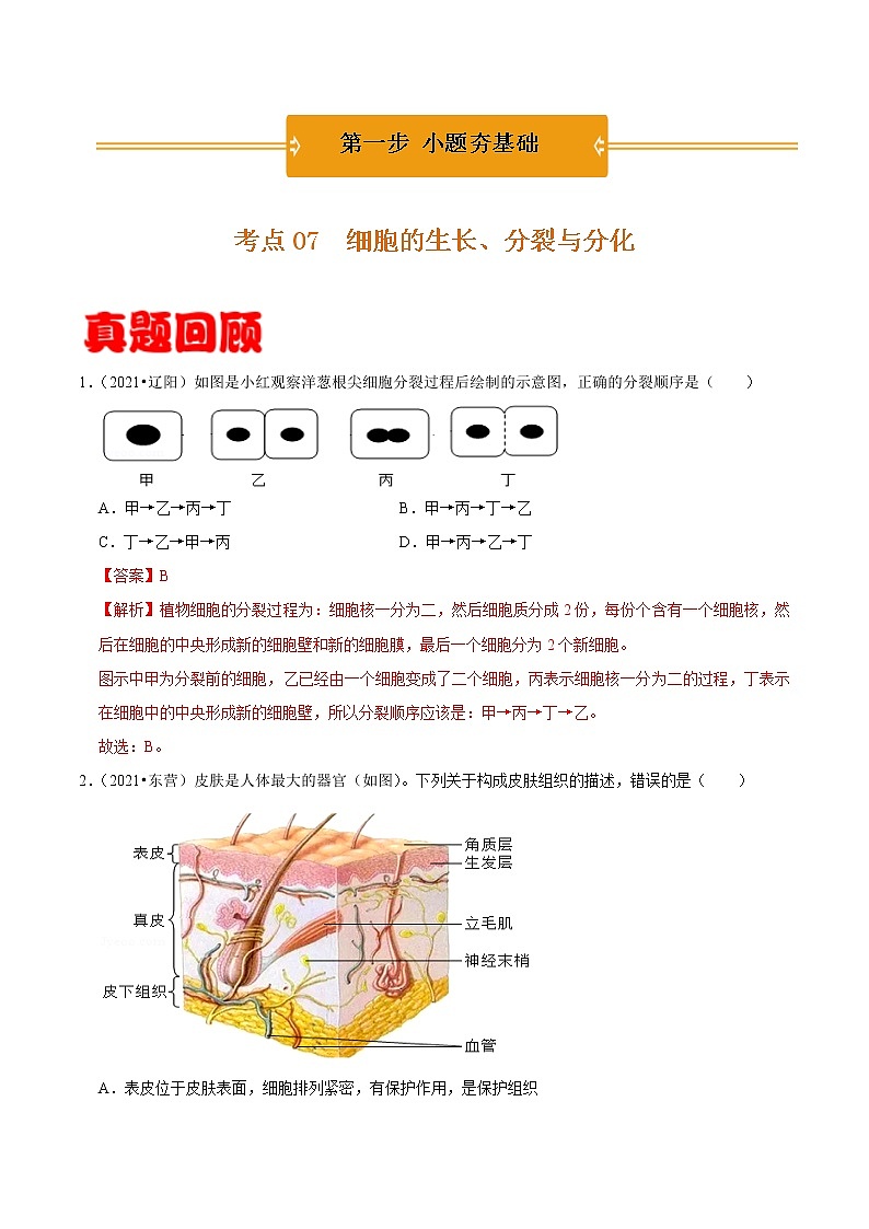 考点07 细胞的生长、分裂与分化- 《三步冲刺中考 生物》之第1步小题夯基础第1页