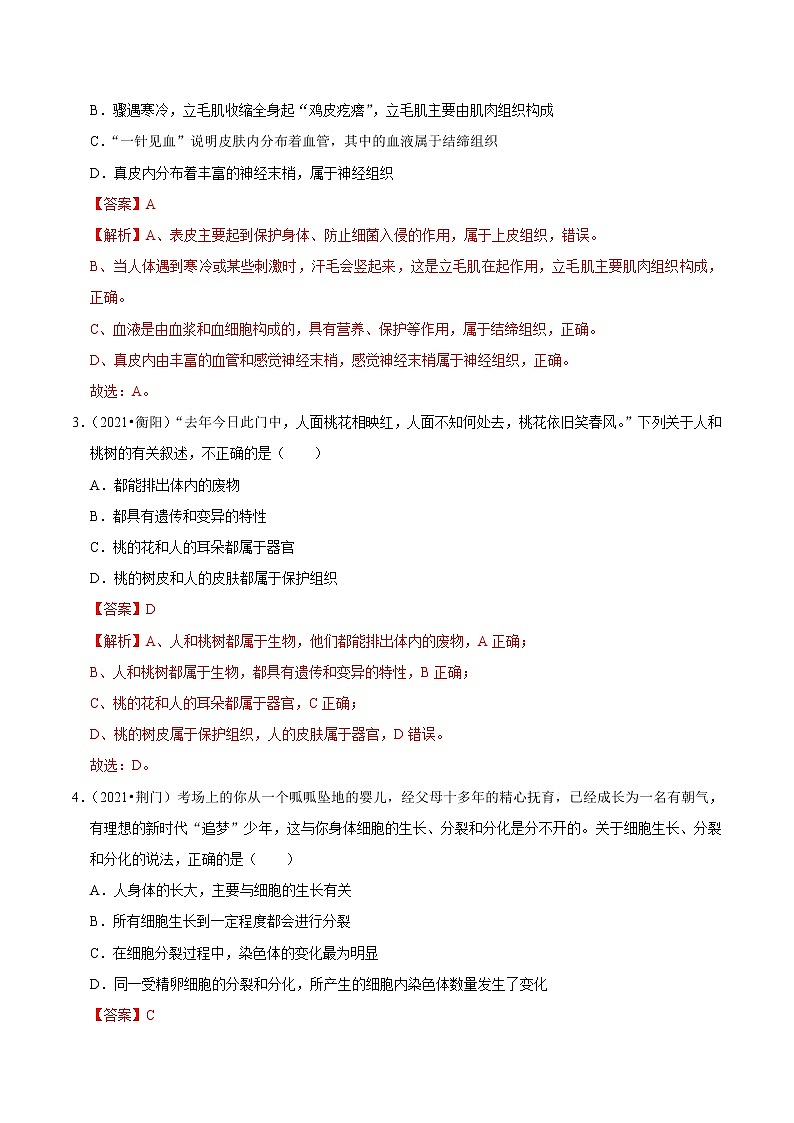 考点07 细胞的生长、分裂与分化- 《三步冲刺中考 生物》之第1步小题夯基础第2页