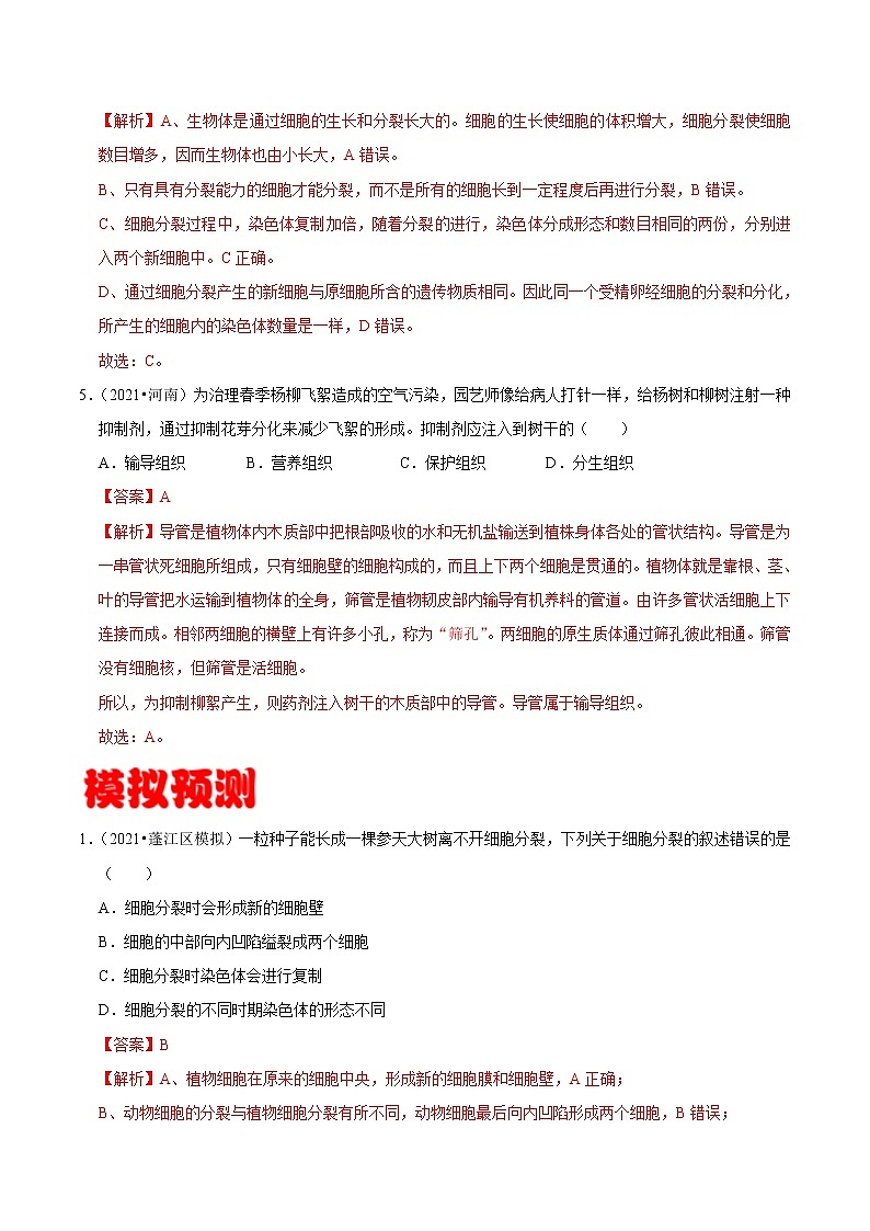 考点07 细胞的生长、分裂与分化- 《三步冲刺中考 生物》之第1步小题夯基础第3页