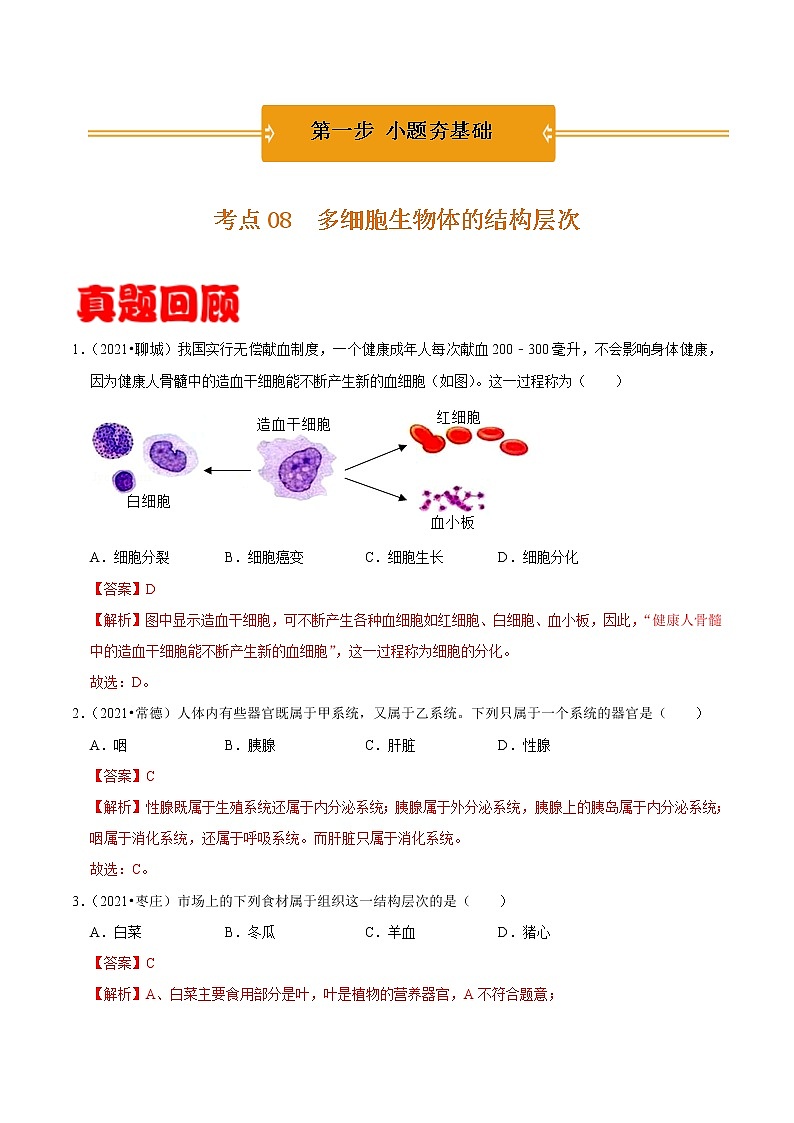 考点08 多细胞生物体的结构层次- 《三步冲刺中考 生物》之第1步小题夯基础第1页