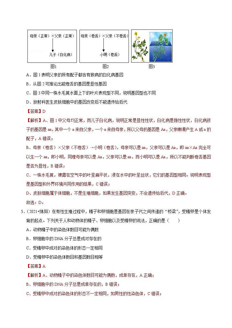 考点31 生物的性状和遗传- 《三步冲刺中考 生物》之第1步小题夯基础03