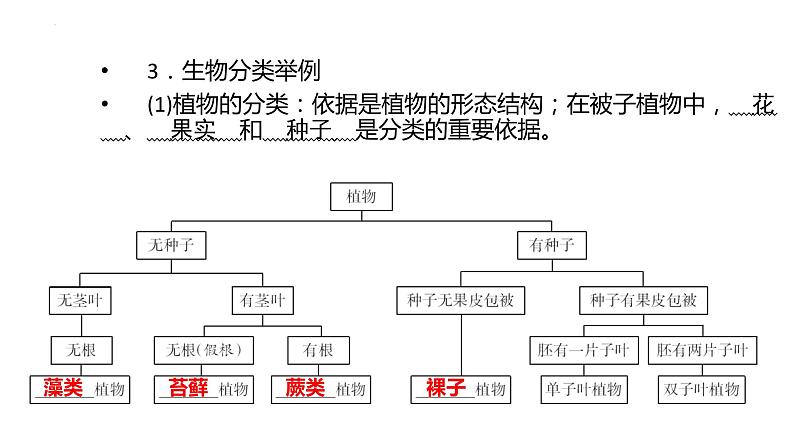 2022年中考一轮复习：第六单元生物的多样性及其保护复习课件第5页