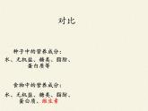 北师大版生物七年级下册 第8章 第1节 人类的食物(4)（课件）