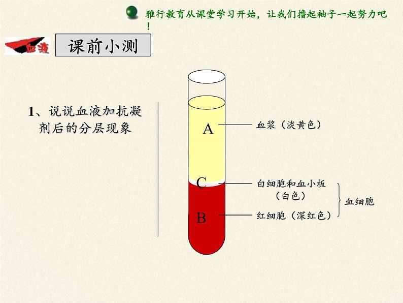 北师大版生物七年级下册 第9章 第1节 血液(1)（课件）第2页