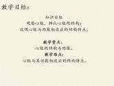 北师大版生物七年级下册 第9章 第2节 血液循环(7)（课件）