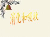 北师大版生物七年级下册 第8章 第2节 食物的消化和营养物质的吸收(2)（课件）