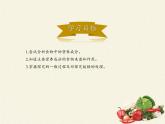 北师大版生物七年级下册 第8章 第1节 人类的食物(6)（课件）