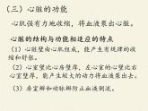 北师大版生物七年级下册 第9章 第2节 血液循环(13)（课件）