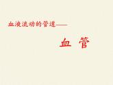 北师大版生物七年级下册 第9章 第2节 血液循环(10)（课件）