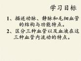 北师大版生物七年级下册 第9章 第2节 血液循环(10)（课件）