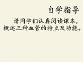 北师大版生物七年级下册 第9章 第2节 血液循环(10)（课件）