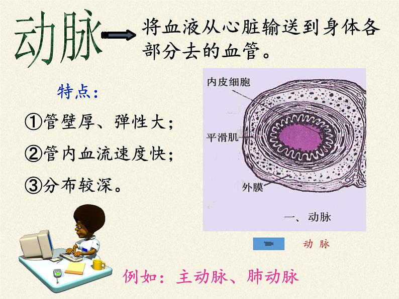 北师大版生物七年级下册 第9章 第2节 血液循环(10)（课件）第5页