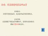 北师大版生物七年级下册 第9章 第2节 血液循环(12)（课件）