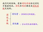 北师大版生物七年级下册 第8章 第2节 食物的消化和营养物质的吸收(1)（课件）