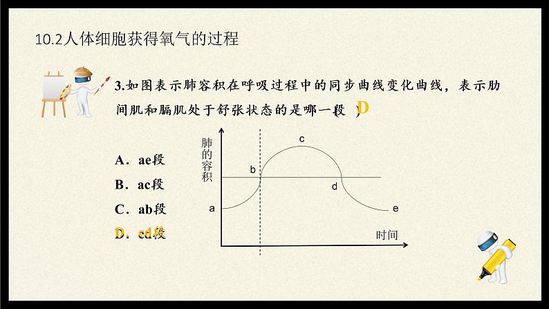 北师大版生物七年级下册 第10章 第2节 人体细胞获得氧气的过程(11)（课件）第2页