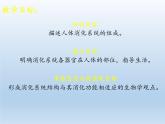 北师大版生物七年级下册 第8章 第2节 食物的消化和营养物质的吸收(4)（课件）