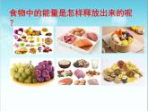 北师大版生物七年级下册 第10章 第1节 食物中能量的释放(1)（课件）