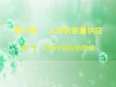 北师大版生物七年级下册 第10章 第1节 食物中能量的释放（课件）