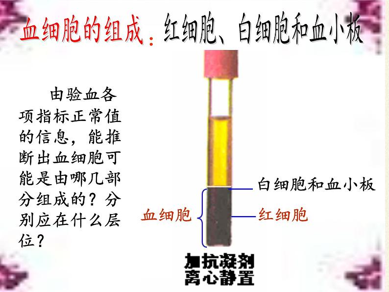 北师大版生物七年级下册 第9章 第1节 血液(4)（课件）第5页