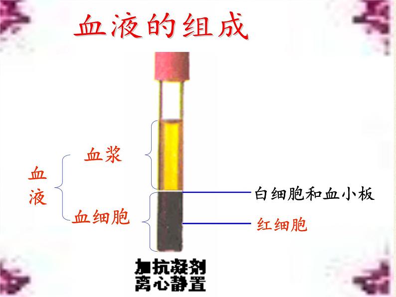 北师大版生物七年级下册 第9章 第1节 血液(4)（课件）第6页