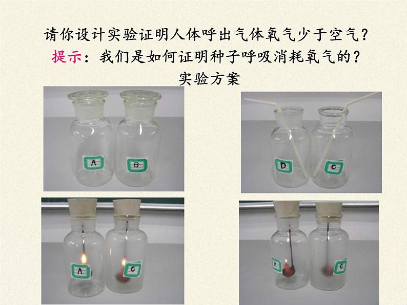 北师大版生物七年级下册 第10章 第1节 食物中能量的释放(9)（课件）05