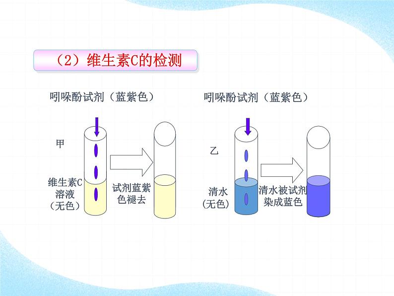 北师大版生物七年级下册 第8章 第1节 人类的食物（课件）08