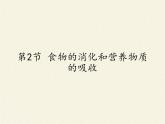 北师大版生物七年级下册 第8章 第2节 食物的消化和营养物质的吸收（课件）