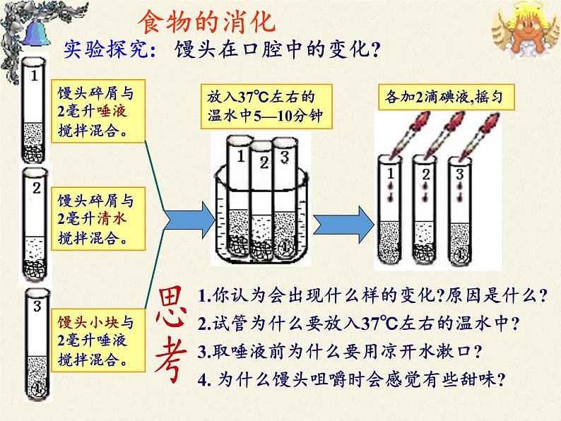 北师大版生物七年级下册 第8章 第2节 食物的消化和营养物质的吸收（课件）第8页