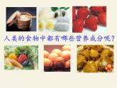 北师大版生物七年级下册 第8章 第1节 人类的食物(2)（课件）