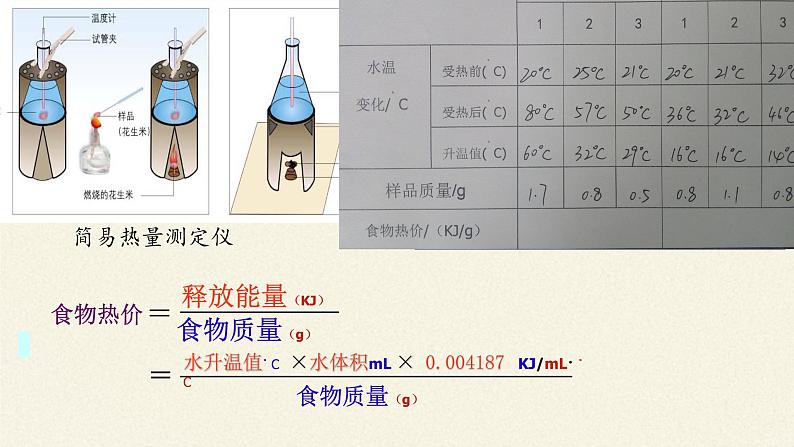 北师大版生物七年级下册 第10章 第1节 食物中能量的释放(1)（课件）第6页