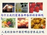 北师大版生物七年级下册 第8章 第1节 人类的食物（课件）