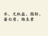 北师大版生物七年级下册 第8章 第1节 人类的食物（课件）