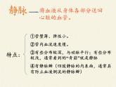 北师大版生物七年级下册 第9章 第2节 血液循环(9)（课件）