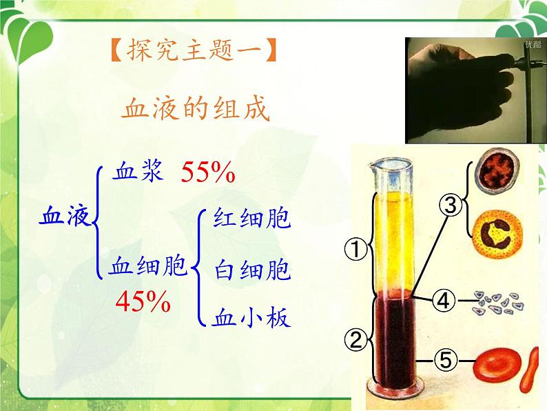 北师大版生物七年级下册 第9章 第1节 血液(2)（课件）第4页