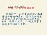 北师大版生物七年级下册 第8章 第1节 人类的食物(7)（课件）