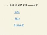 北师大版生物七年级下册 第9章 第2节 血液循环(4)（课件）