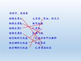 北师大版生物七年级下册 第8章 第2节 食物的消化和营养物质的吸收(3)（课件）