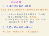 北师大版生物七年级下册 第8章 第2节 食物的消化和营养物质的吸收(7)（课件）
