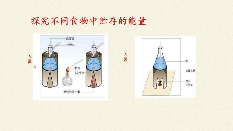 北师大版生物七年级下册 第10章 第1节 食物中能量的释放(4)（课件）第7页