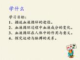 北师大版生物七年级下册 第9章 第2节 血液循环(11)（课件）