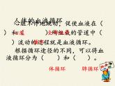 北师大版生物七年级下册 第9章 第2节 血液循环(11)（课件）